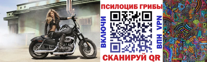 Галлюциногенные грибы мухоморы  Купить закладки  Обнинск 