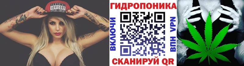 Купить где  Обнинск  Конопля семена 